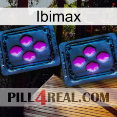 Ibimax 03